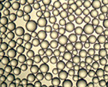 Polystyrene